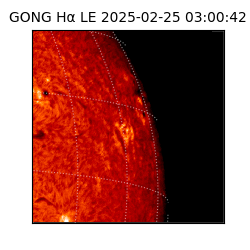 gong - 2025-02-25T03:00:42