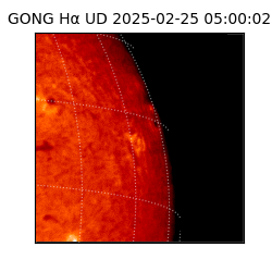 gong - 2025-02-25T05:00:02