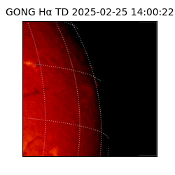 gong - 2025-02-25T14:00:22