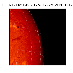 gong - 2025-02-25T20:00:02