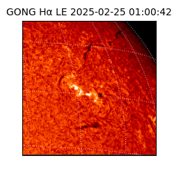 gong - 2025-02-25T01:00:42