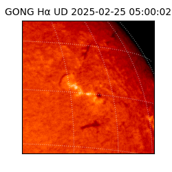 gong - 2025-02-25T05:00:02