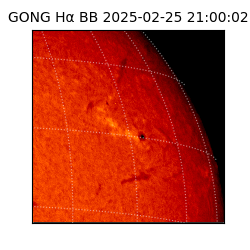 gong - 2025-02-25T21:00:02