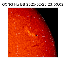 gong - 2025-02-25T23:00:02