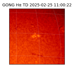 gong - 2025-02-25T11:00:22
