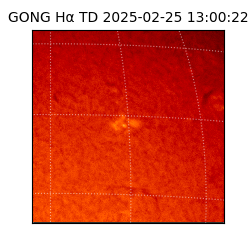gong - 2025-02-25T13:00:22