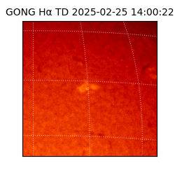 gong - 2025-02-25T14:00:22