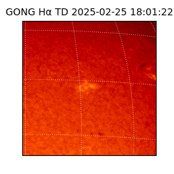 gong - 2025-02-25T18:01:22