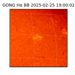 gong - 2025-02-25T19:00:02