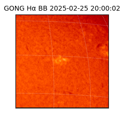 gong - 2025-02-25T20:00:02
