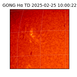gong - 2025-02-25T10:00:22
