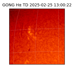 gong - 2025-02-25T13:00:22