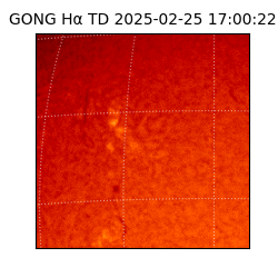 gong - 2025-02-25T17:00:22