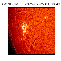gong - 2025-02-25T01:00:42