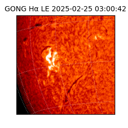gong - 2025-02-25T03:00:42