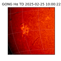gong - 2025-02-25T10:00:22