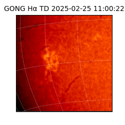 gong - 2025-02-25T11:00:22