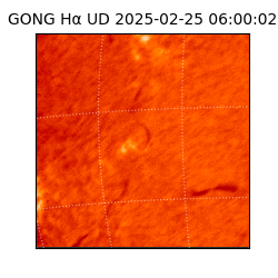 gong - 2025-02-25T06:00:02