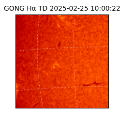 gong - 2025-02-25T10:00:22