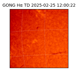 gong - 2025-02-25T12:00:22