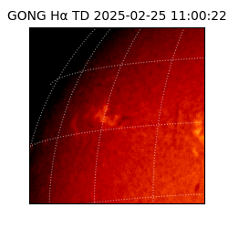 gong - 2025-02-25T11:00:22