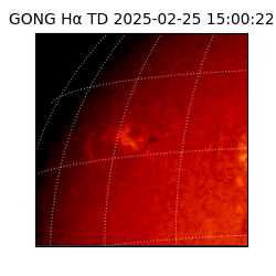 gong - 2025-02-25T15:00:22