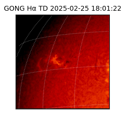 gong - 2025-02-25T18:01:22