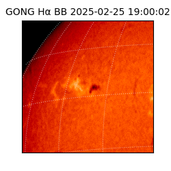 gong - 2025-02-25T19:00:02