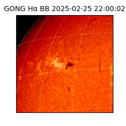 gong - 2025-02-25T22:00:02