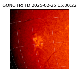 gong - 2025-02-25T15:00:22