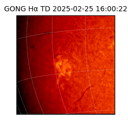 gong - 2025-02-25T16:00:22