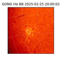 gong - 2025-02-25T20:00:02