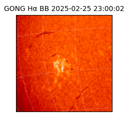gong - 2025-02-25T23:00:02