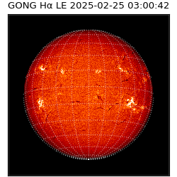 gong - 2025-02-25T03:00:42