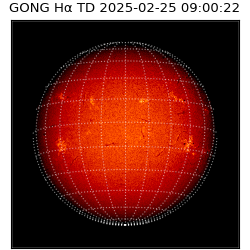 gong - 2025-02-25T09:00:22