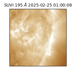 suvi - 2025-02-25T01:00:08.370000