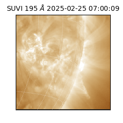 suvi - 2025-02-25T07:00:09.274000