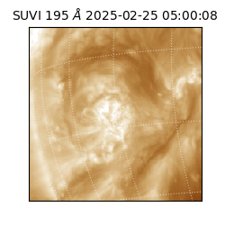 suvi - 2025-02-25T05:00:08.972000
