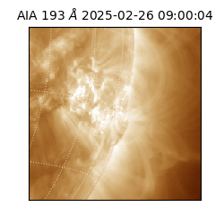saia - 2025-02-26T09:00:04.843000