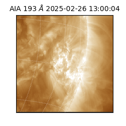 saia - 2025-02-26T13:00:04.843000
