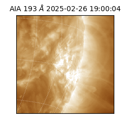 saia - 2025-02-26T19:00:04.843000