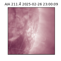 saia - 2025-02-26T23:00:09.630000