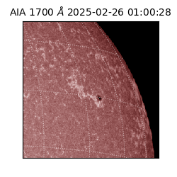 saia - 2025-02-26T01:00:28.717000