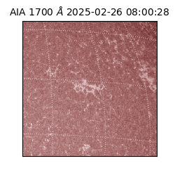 saia - 2025-02-26T08:00:28.720000