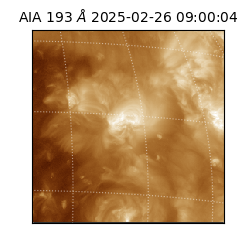 saia - 2025-02-26T09:00:04.843000