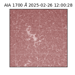 saia - 2025-02-26T12:00:28.720000