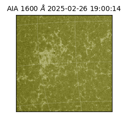 saia - 2025-02-26T19:00:14.126000