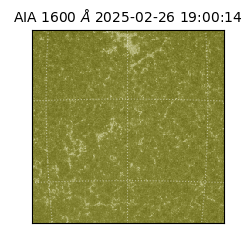 saia - 2025-02-26T19:00:14.126000