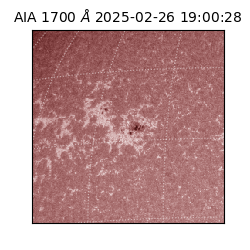 saia - 2025-02-26T19:00:28.717000