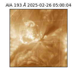 saia - 2025-02-26T05:00:04.843000